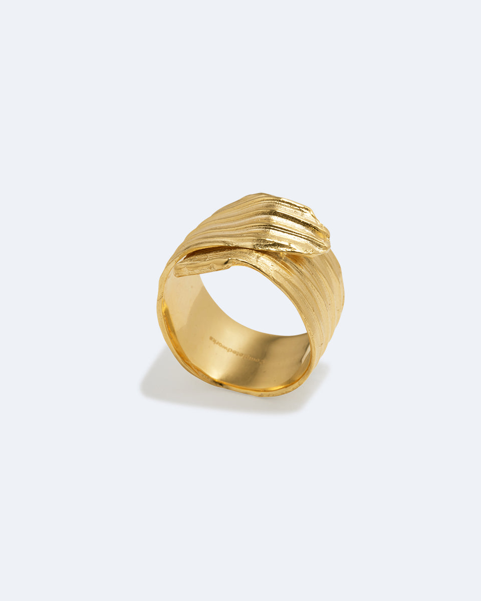 Destiny’s Tributaries - Gold Plated Ring