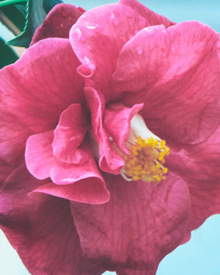 Completed work image