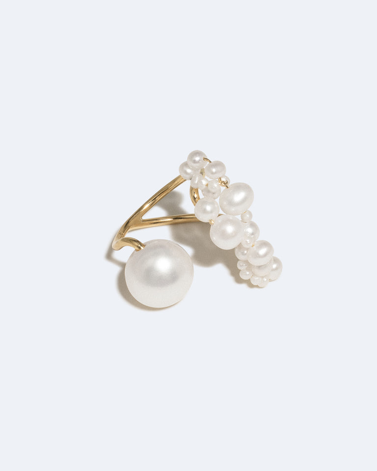 Parler aux Pingouins - Bague en Nacre et Vermeil Or