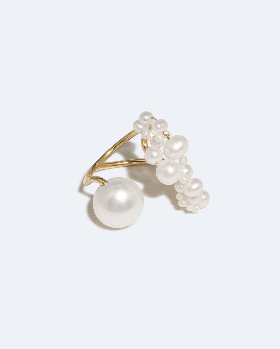 Parler aux Pingouins - Bague en Nacre et Vermeil Or
