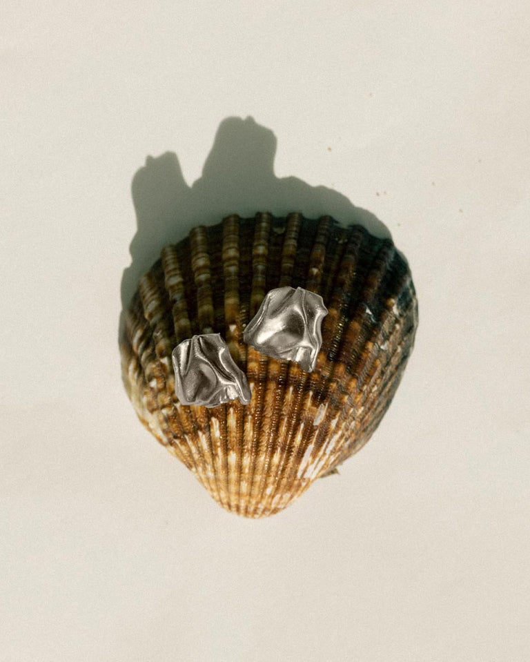"Notsobig" Groundswell - Platinum Plated Earrings