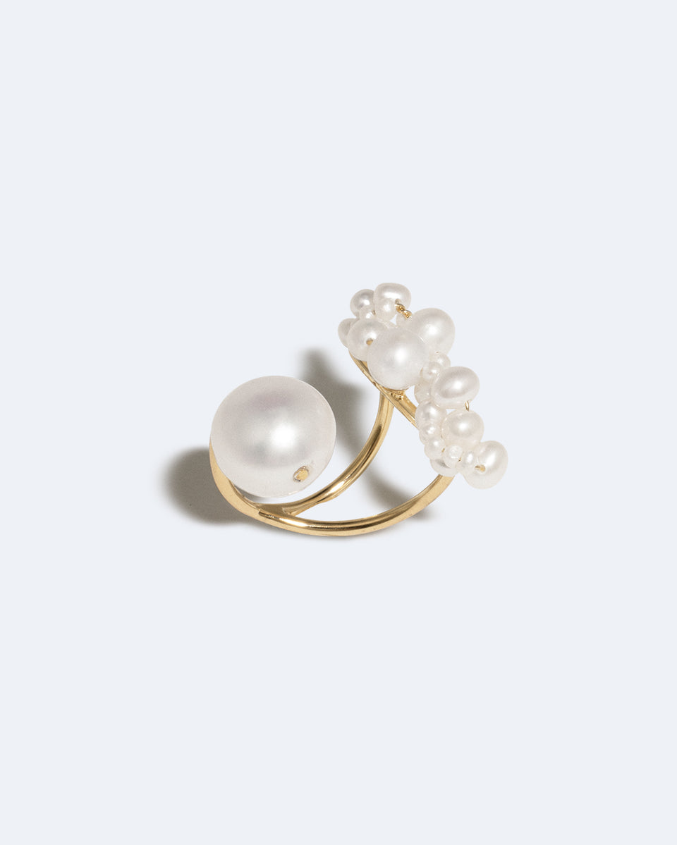 Parler aux Pingouins - Bague en Nacre et Vermeil Or