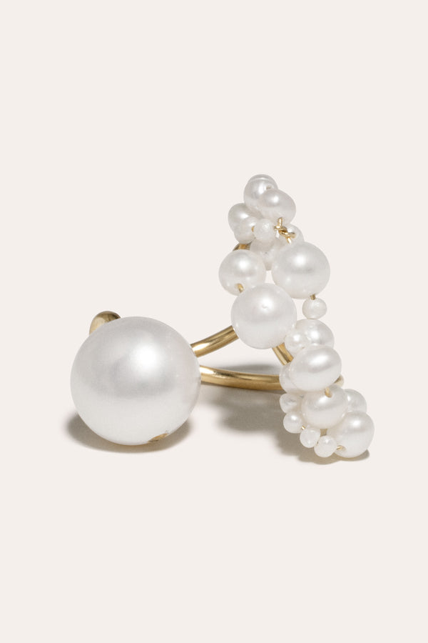 Parler aux Pingouins - Bague en Nacre et Vermeil Or